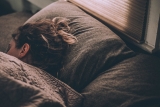 Health news: Shorter sleep can be harmful to your health – World Economic Forum