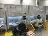A Saudi Arabian journey in influenza surveillance