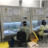 Three Subvariants Causing 70% of New England COVID Infections – NBC Boston