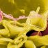 Coronavirus live updates: Biden receives coronavirus booster shot, White House says – The Washington Post