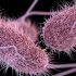 U.S. Open Tightens Protocols, Fans Must Provide Proof of Covid Vaccination