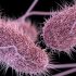 CDC paves way for California to require school COVID vaccines — but lawmakers have given up for now | Education