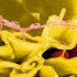 Moderna vaccine seeks full FDA approval; UK zero deaths