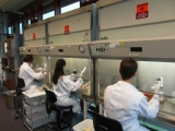 Urgent call for better use of existing vaccines and development of new vaccines to tackle AMR