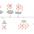 The U.S. Is Now Averaging 100,000 New COVID-19 Infections A Day : Coronavirus Updates : NPR