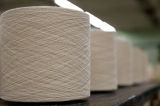 Cambodian CDC approves construction of shoe factory, cotton yarn unit