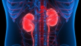 Membranous Nephropathy after COVID-19 Vaccination