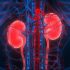 Transcript: CDC Media Telebriefing – Update on Respiratory Disease Circulation | CDC Online Newsroom
