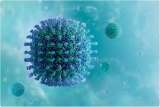 Assay for the sensitive and specific identification of SARS-CoV-2 Delta variant