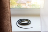 If You See a Snake in Your Home, Do This Immediately, CDC Says