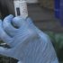The Status of the Pandemic, in Three Charts