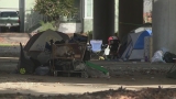 Mizzou professor awarded CDC grant to study youth homelessness, gun violence