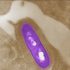COVID-19 hits a US plateau: Why aren’t cases going up or down? 