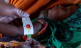 Horn of Africa faces most ‘catastrophic’ food insecurity in decades – Modern Diplomacy