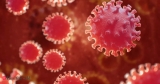 Some countries may see another wave of COVID-19 infection due to XBB subvariant, says WHO chief scientist, Health News, ET HealthWorld