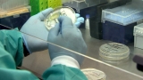 Florida breaks record with more than 21,000 new COVID cases