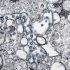 N. Korea sees suspected COVID-19 cases after victory claim