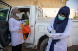Focus on immunization and surveillance in the in-mid-term evaluation of polio transition