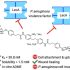 Long COVID-19 can be debilitating, even for healthy kids