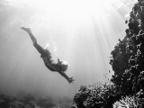 Sunscreen and coral reefs: Is oxybenzone a threat?