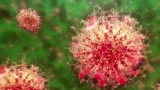 Health officials investigating mysterious cases of hepatitis in children; WHO issues global alert