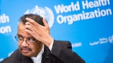 WHO chief sharpens call for China to further help probe into origin of pandemic | Science