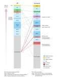 The allocation of COVID-19 vaccinations in 29 countries at the beginning of 2021