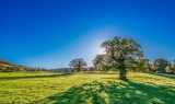 Statement by Chief Scientists for the 2022 International Day of Clean Air for blue skies