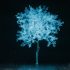 Verana Health to Highlight the Value of Curated Real-World Data at the American College of Epidemiology 2022 Annual Meeting