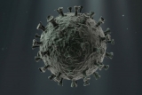 Is Australia's COVID, Flu 'Twindemic' A Warning for the U.S.? – WebMD