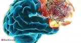 Twin studies identify new genetic links to schizophrenia, Health News, ET HealthWorld