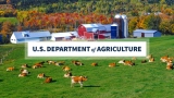 USDA Developing New Tools to Identify COVID Virus in Wild and Domestic Animals
