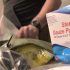 CDC issues travel advisory for Israel, other countries due to polio