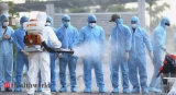 UN health agency sees virus cases leveling off, Health News, ET HealthWorld