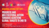 Progress and multisectoral action towards achieving global targets to end TB