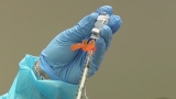 CDC to discuss possible need for coronavirus booster shots