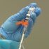 A hibiscus flavonoid may help fight plaque build-up