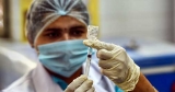 30 vaccines to battle COVID by Dec; 5 from India- Business News