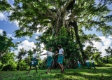 Donors making a difference in South-East Asia and the Western Pacific