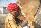 One Health is critical to addressing zoonotic public health threats and environmental issues