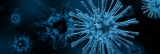 Hepatitis cases in children linked to adeno-associated virus AAV2