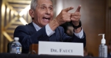 Fauci: ‘There’s no way’ the coronavirus was made with U.S. research funds. Here’s why