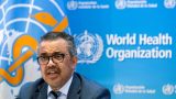 Canada’s monkeypox outbreak showing ‘downward trend,’ WHO head says