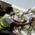 Researchers Roll Out Data on COVID Vaccine Distribution and Waste