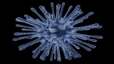 Zoonotic diseases are rising across the world. Is this a cause of concern?