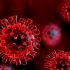 CDC, Health News, ET HealthWorld