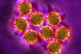 CDC Warns About Potentially Deadly Virus in Infants