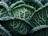 Vitamin K may prevent cognitive decline