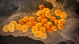 July 16, 2021 coronavirus news