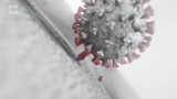 Omicron subvariants: New, fitter Covid-19 viruses begin to drive their own waves